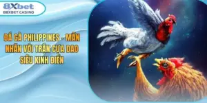 Đá Gà Philippines - Mãn Nhãn Với Trận Cựa Dao Siêu Kinh Điển