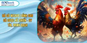 Đá gà WS168 | Đỉnh Cao Cá Cược Kê Chiến – Uy Tín, Minh Bạch
