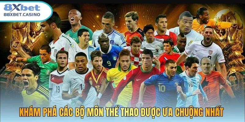 Khám phá các bộ môn thể thao được ưa chuộng nhất 