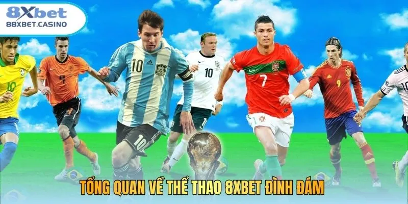 Tổng quan về thể thao 8XBET đình đám 