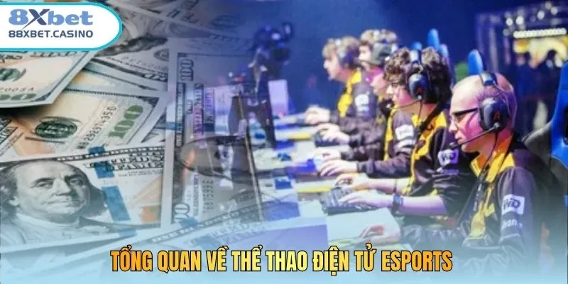 Tổng quan về thể thao điện tử Esports 